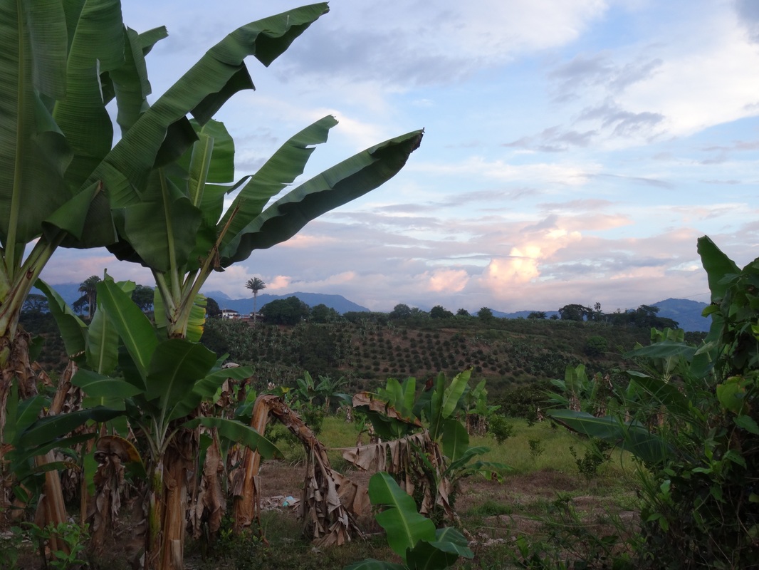Quindio Colombia Coffee Region Sunset
